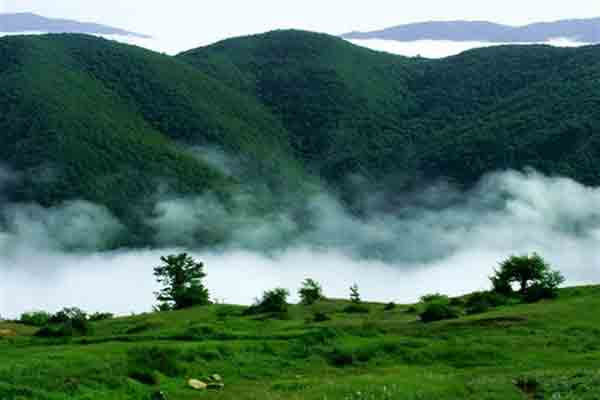 جنگل ابر در سمنان | جاذبه های طبیعت گردی سمنان | جاذبه های طبیعی گردشگری ایران