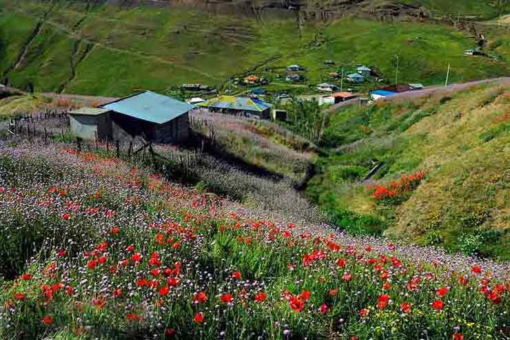 ÙØªÛØ¬Ù ØªØµÙÛØ±Û Ø¨Ø±Ø§Û Ø¬Ø´Ù Ú¯Ù ÙØ§Û Ø´ÙØ§ÛÙ Ø¯Ø± Ø§Ø³Ø§ÙÙ Ù Ø®ÙØ®Ø§Ù