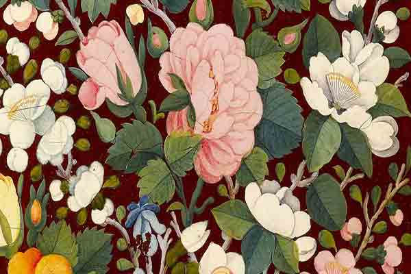 نمایشگاه امپراطوری گل رز | موزه لوور