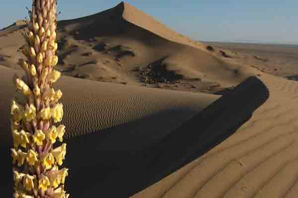 کویر ورزنه در اصفهان | کویر ورزنه ملکه کویرهای ایران