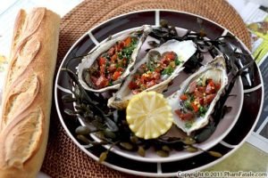 صدف چروک (Oyster)