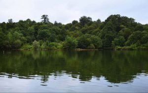 طبیعت چمستان الیمالات