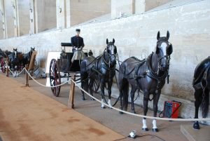 قصر شانتلی, chateau de chantilly,پاریس,گردشگری,پاریسگردی,موزه ,ایفل,نتردام,لوور,,