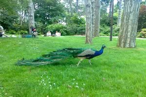 پارک فلورال پاریس , Parc floral