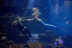پاریس,آکواریوم پاریس , پری دریائی , Aquarium de Paris, Cinéaqua ,آکواریوم تروکادرو