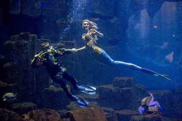 claire-sirene-aquarium