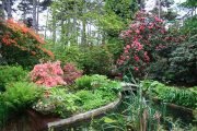 پارک فلورال پاریس |Parc floral paris |مراکز تفریحی پاریس | باغها و پارکهای پاریس